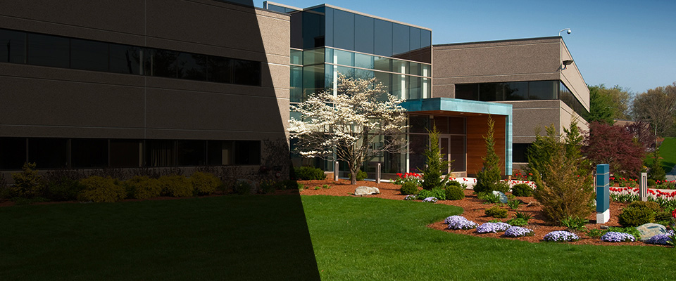 Oak Brook Landscapers