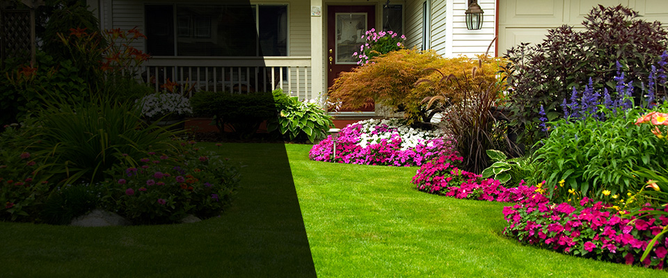 Oak Brook Landscapers
