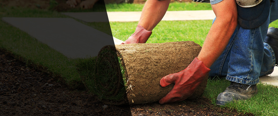 Oak Brook Landscapers